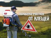 Дезинфекция Дезинсекция ‼️ Участки сады территория обработка насекомых
