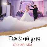 Тяжелый дым. Спецэффекты. Холодные фонтаны. Танец молодых вальс свадьб