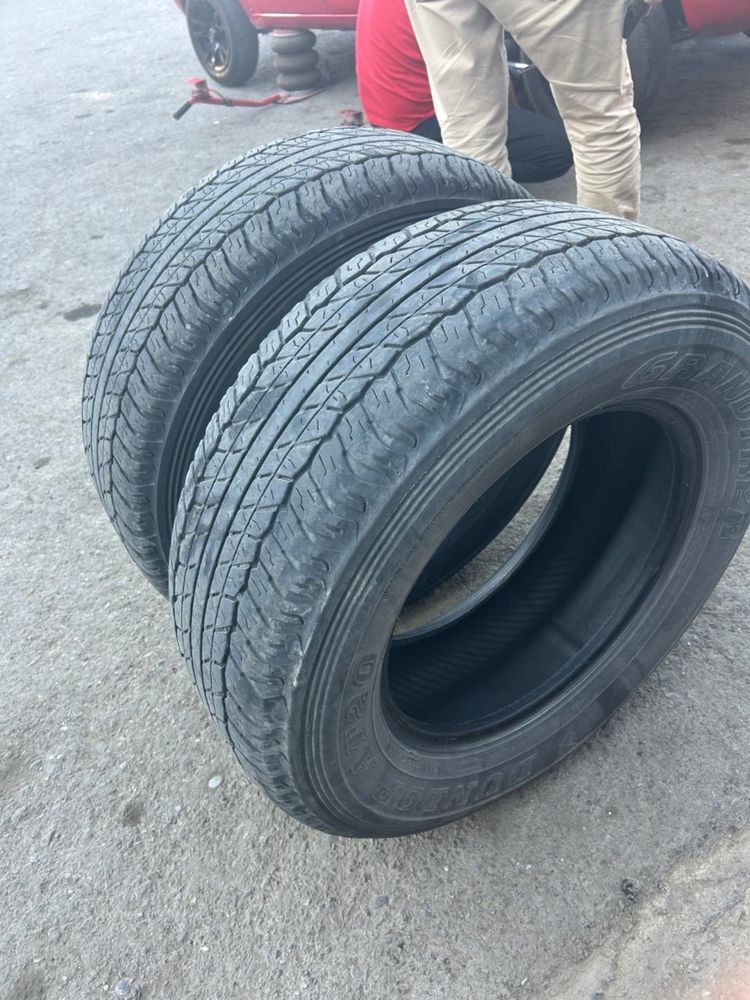 Шины Dunlop AT-20