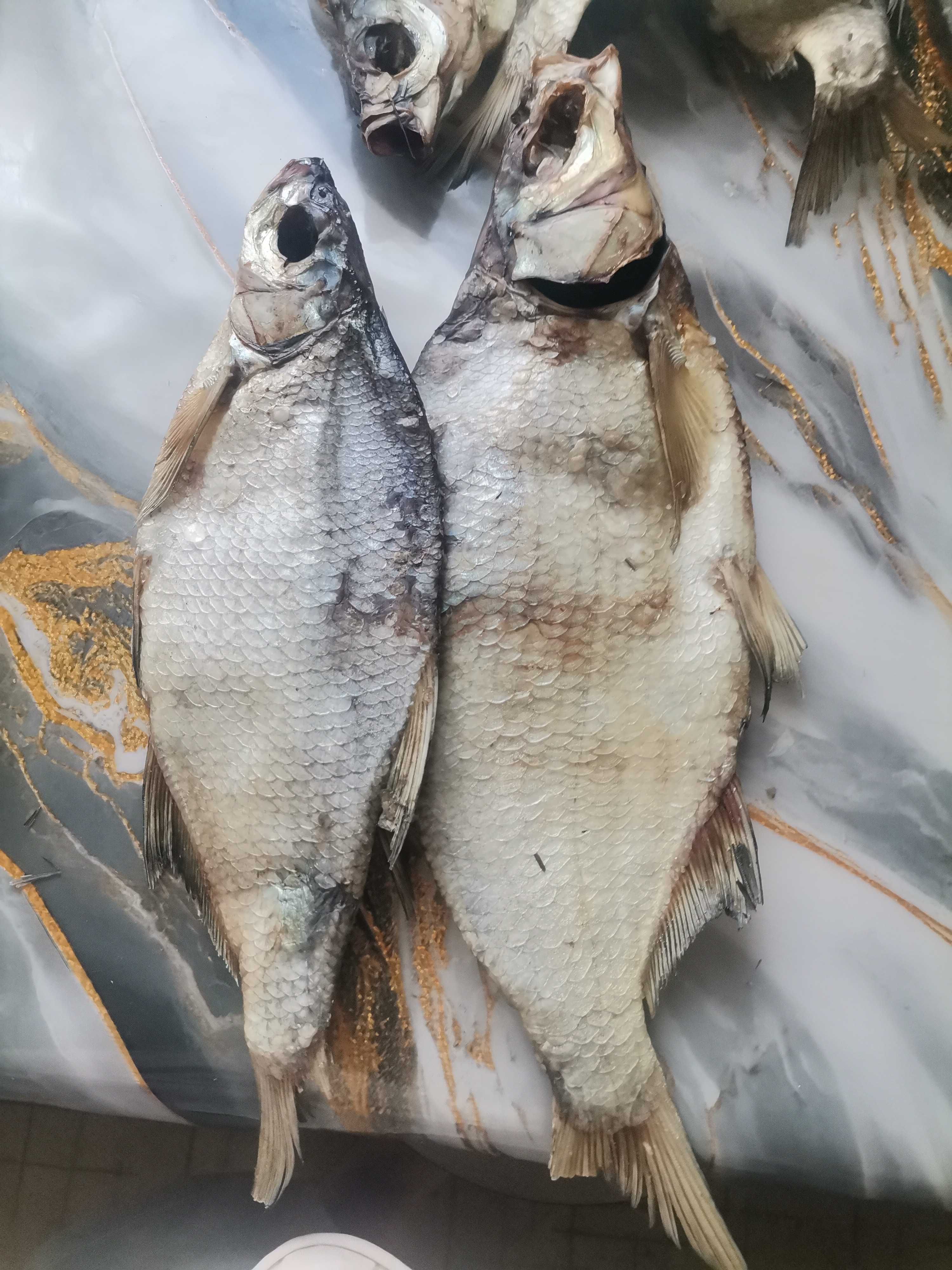 Рыбная продукция