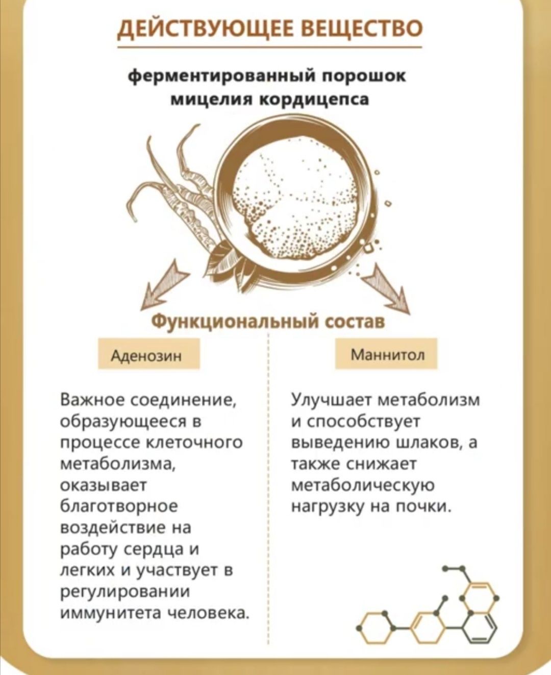 Кордицепс Тяньши мицелий