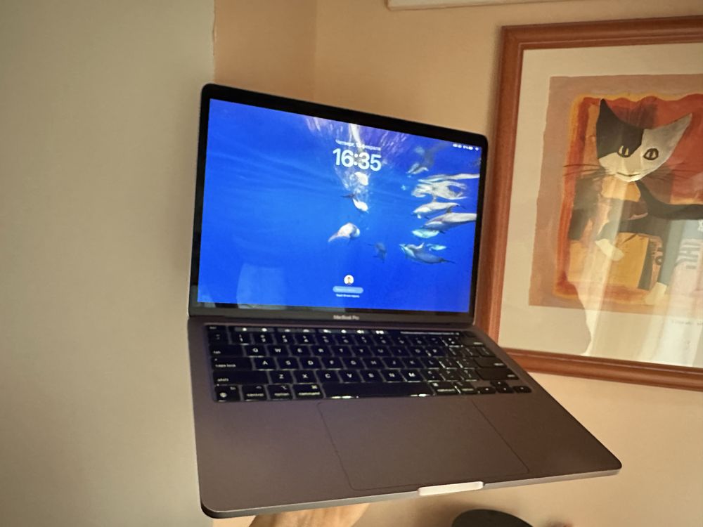 Macbook pro m1 256gb