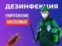 Дезинфекция Астана Уничтожение Клопов Клещей Мышей Крыс БЕЗОПАСНО