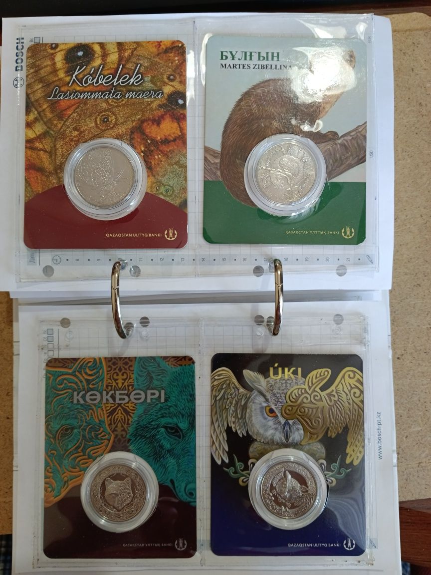 Альбом для монет в блистерах