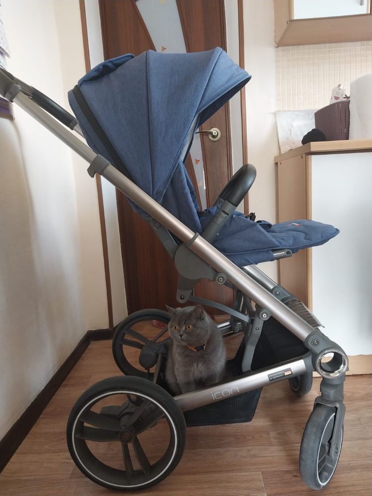Коляска 2 в 1