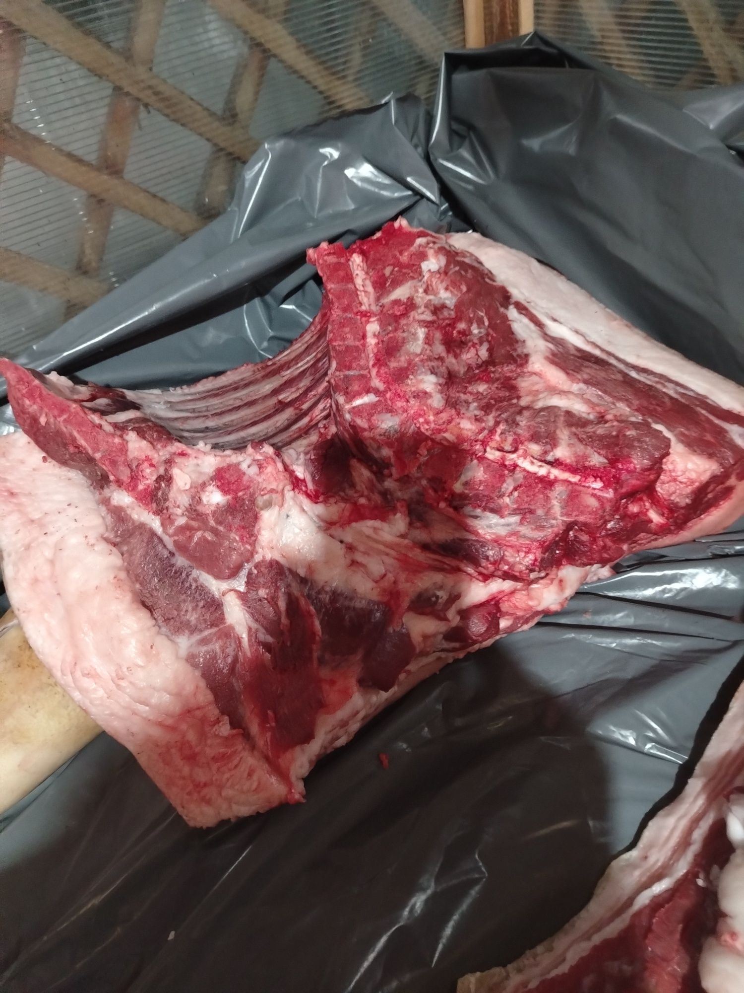 Продам. Мясо свинины 1600