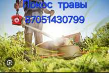 Покос травы на участке