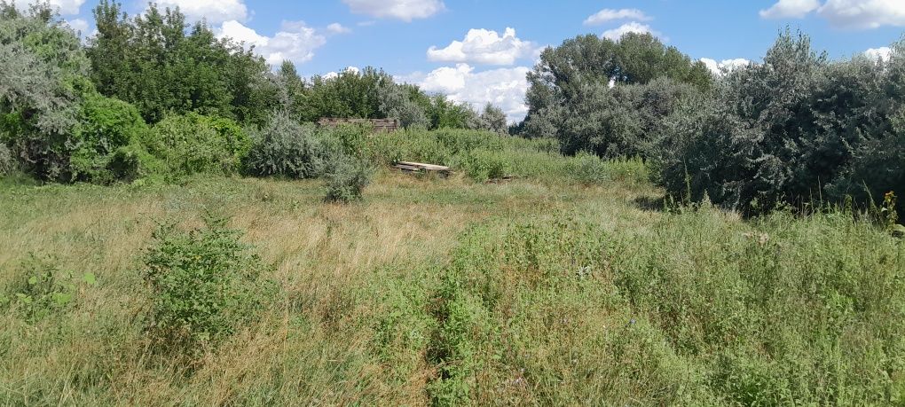 Продам участок для хозяйства или иного бизнеса