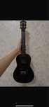 Укулеле Terris Pluc 23 BK Black