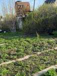 Продам дачу 8 соток вблизи п. Вольный