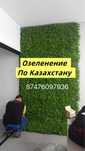 Интерьерное озеленение. Цветочное озеленение.