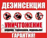Дезинфекция клопов таракан термит