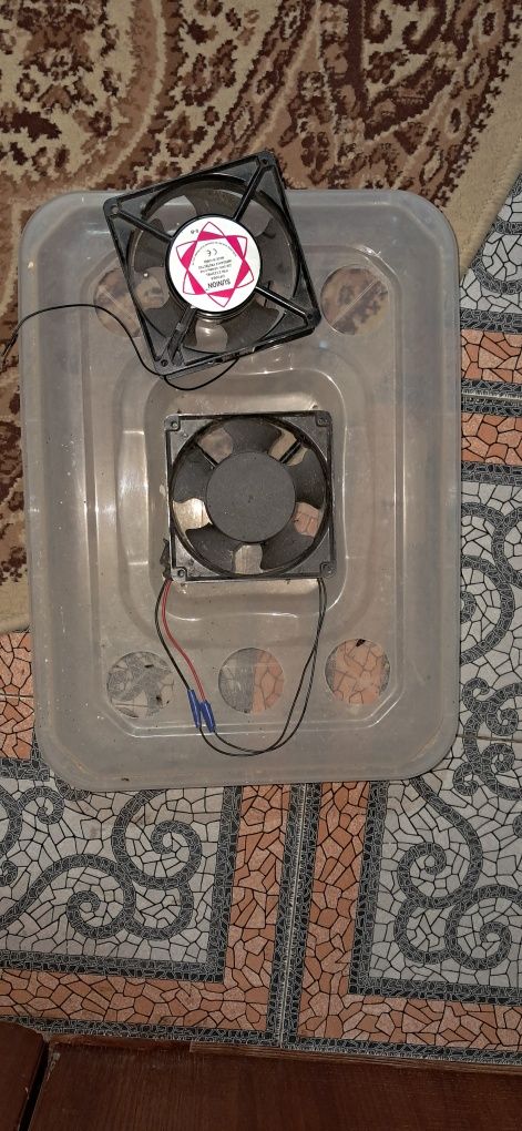 Инкубатор Pro-Balapan 352 Nomad