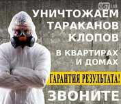 Дизинфекция Дезинфекция Дизенфекция Клопов Тараканов Результат Гаранти