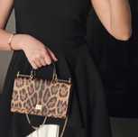 Вечерняя сумочка  Dolce Gabbana