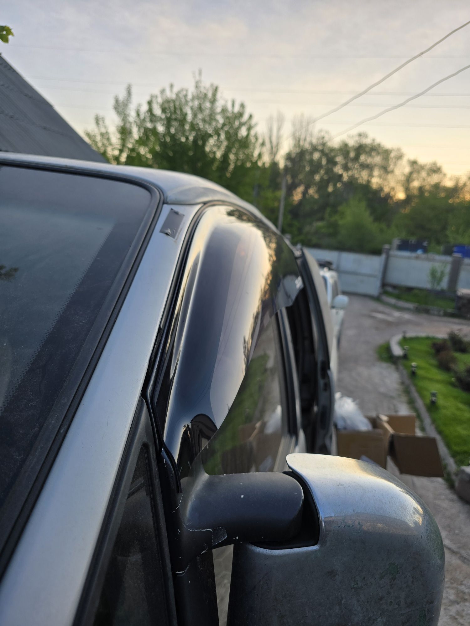 Ветровики делика широкие