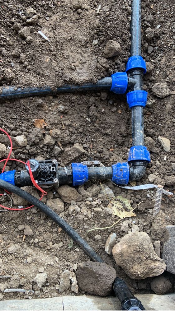 Автополив посев газона ланшавдный дизайн не дорого