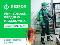 Дезинфекция Дизенфекция Тараз От Тараканов Грызунов Клопов
