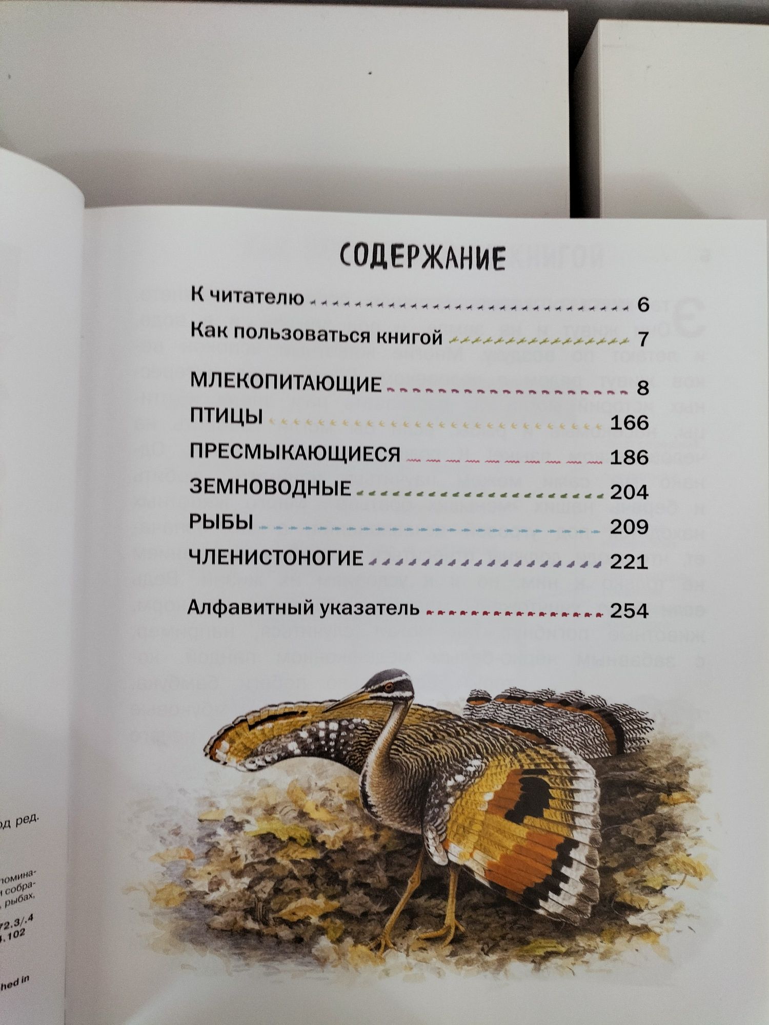 Энциклопедия для детей