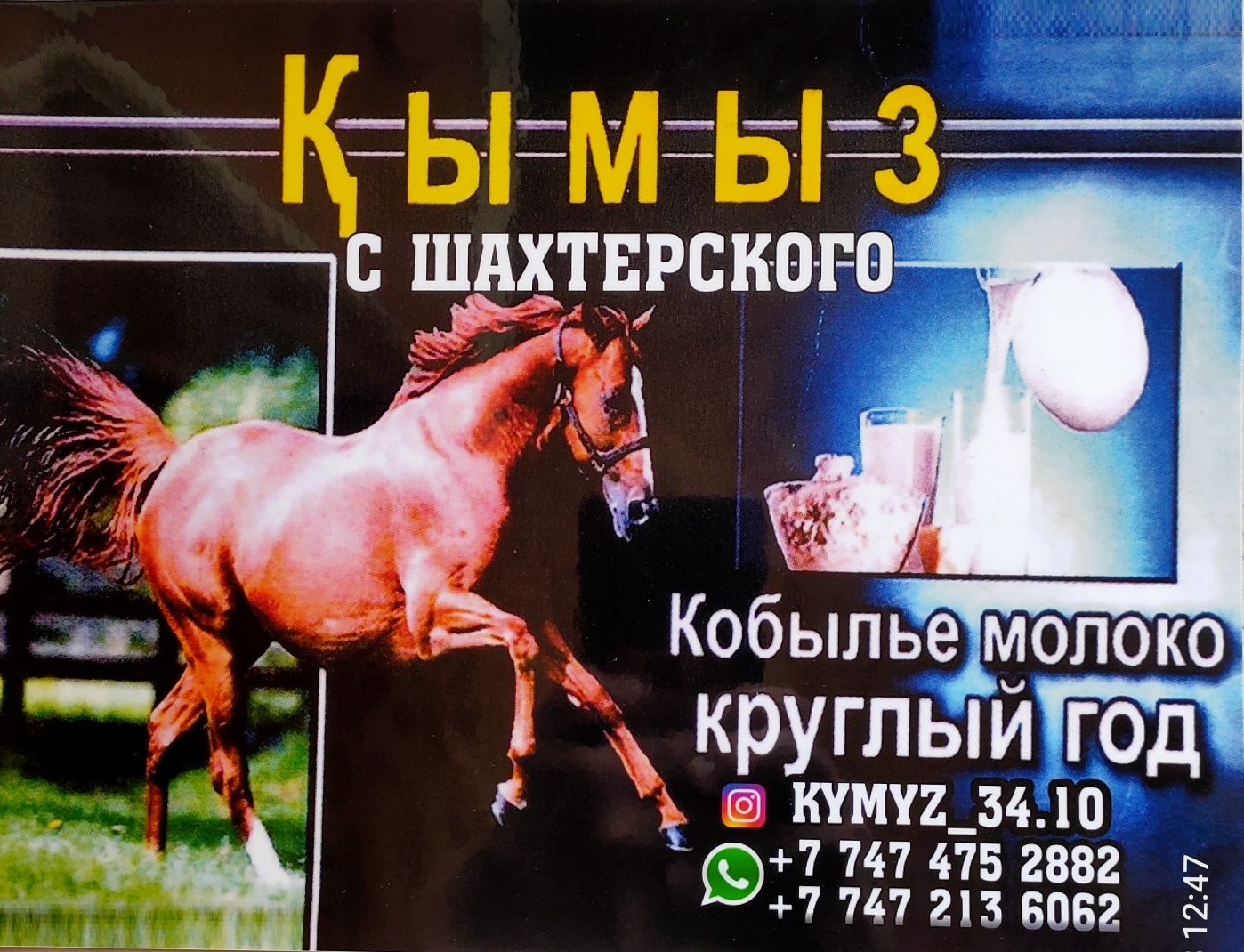 Свежее кобылье молоко и кумыс  круглый год на Шахтерском !!!