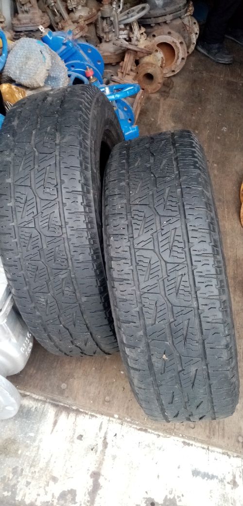 Автошины всесезонка