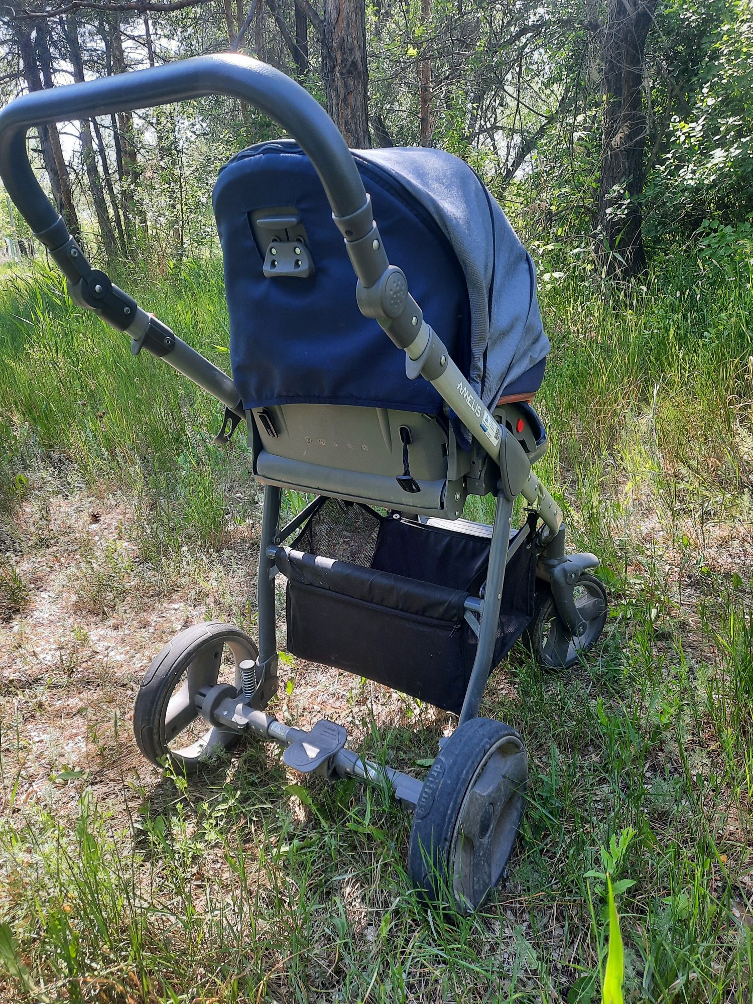 Коляска Delti Amelis 2в1