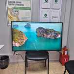 LG 55д-140см (Зелинского 30/4) лот 651215