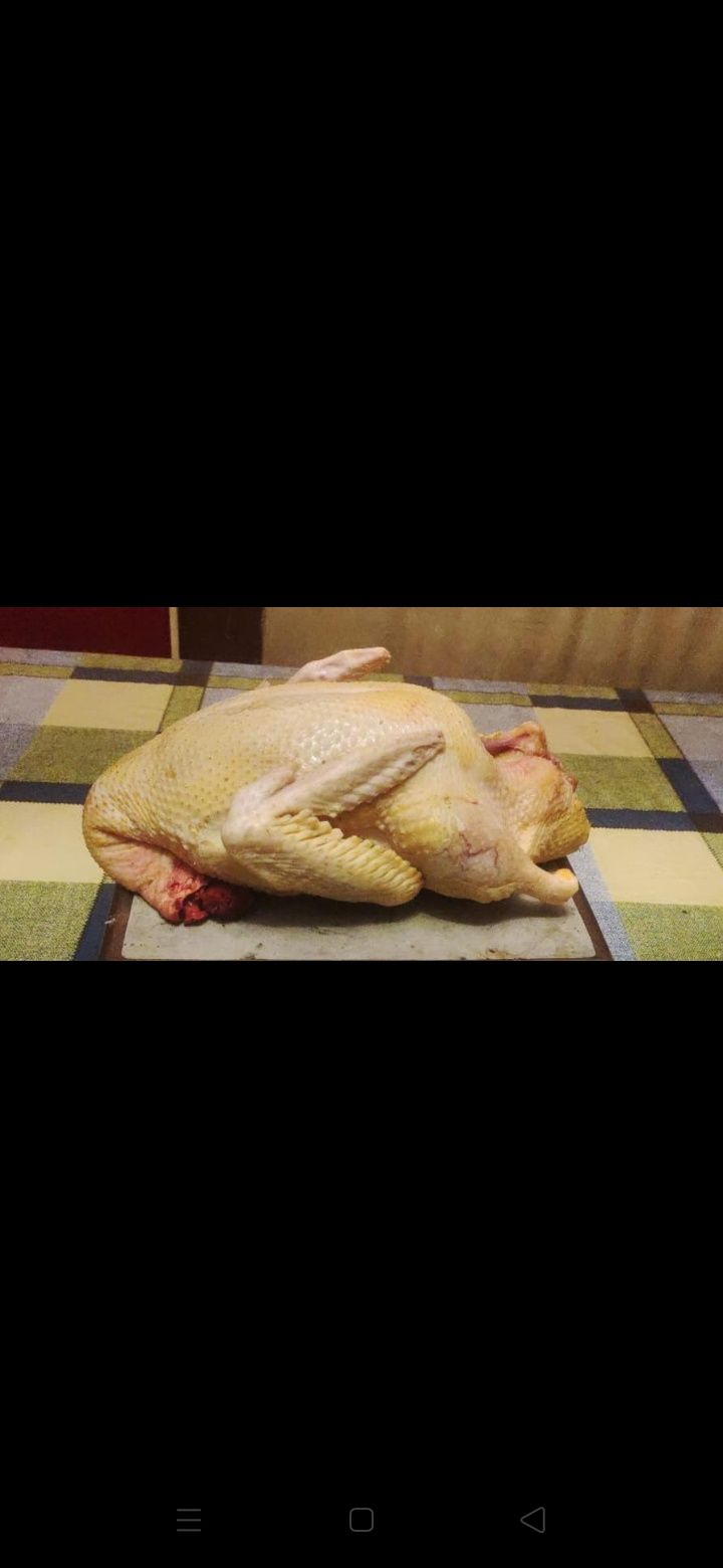 Мясо утки и индоутки