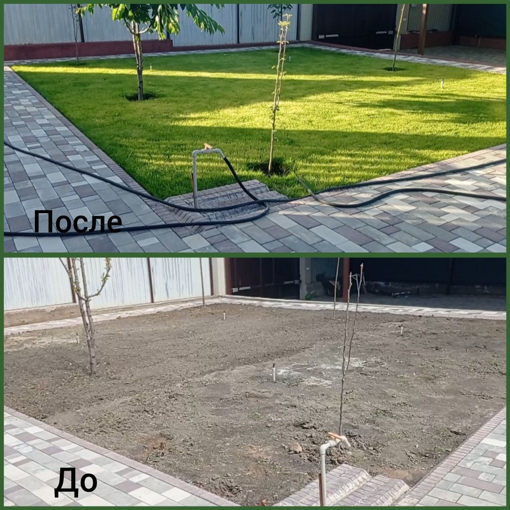 Автополив Газон ландшафтный дизайн.