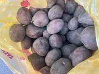 Продам домашний картофель 2 тонны