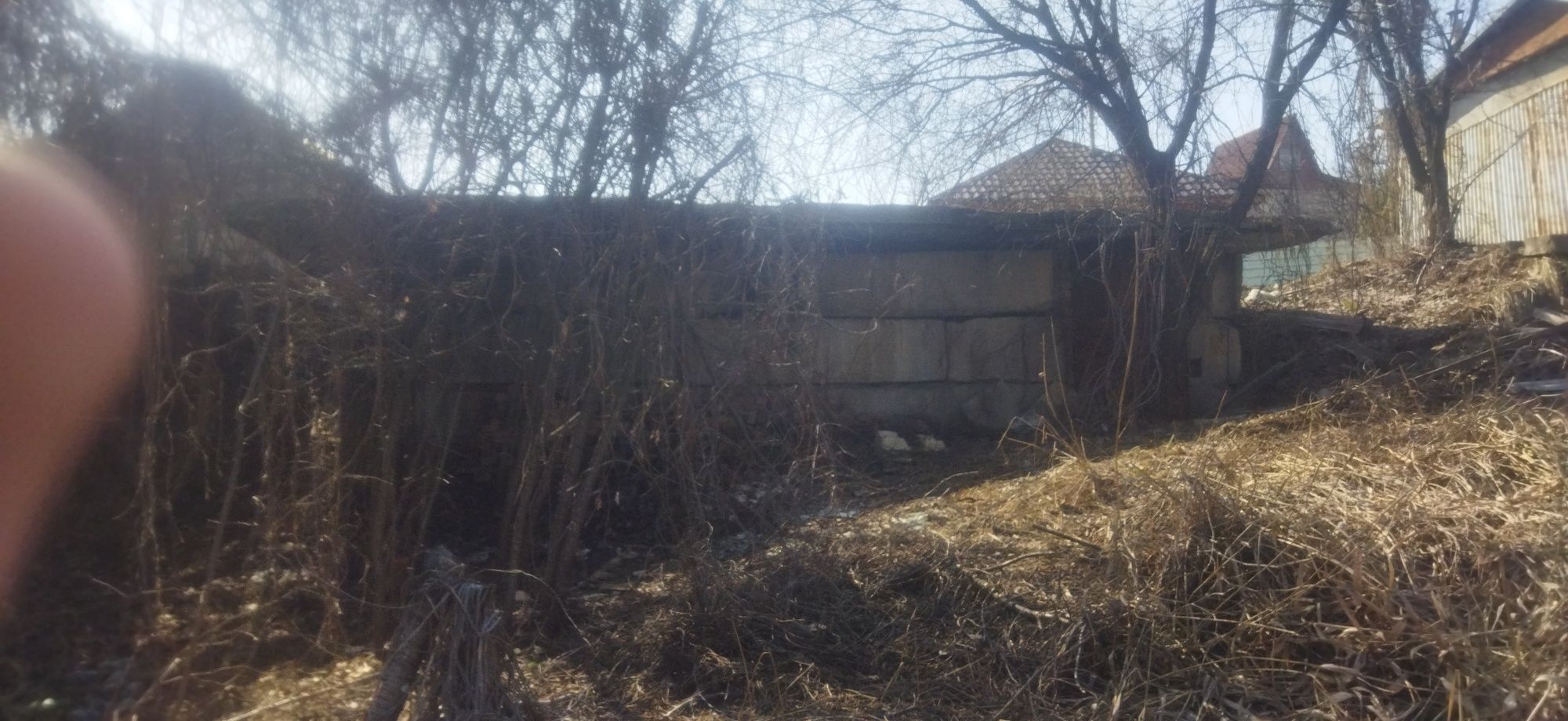 Продам дачный массив 12 соток