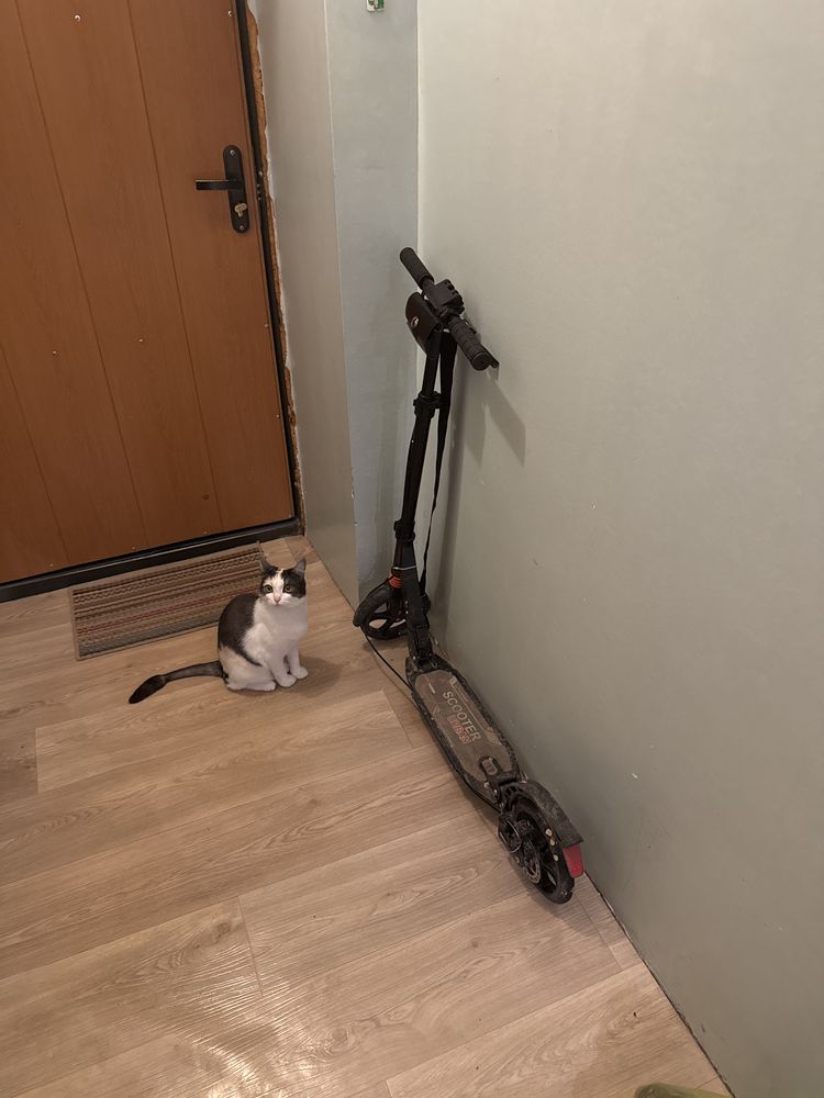 Продам самокат детский 10 лет