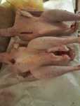 Продаются мясо индюков, утки