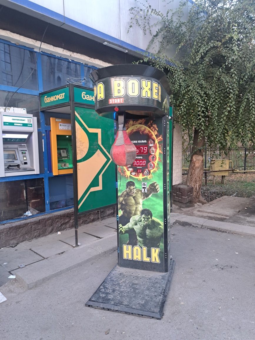 PAPA BOXER сатылады жагдайы жаксы 800000 келысымы бар