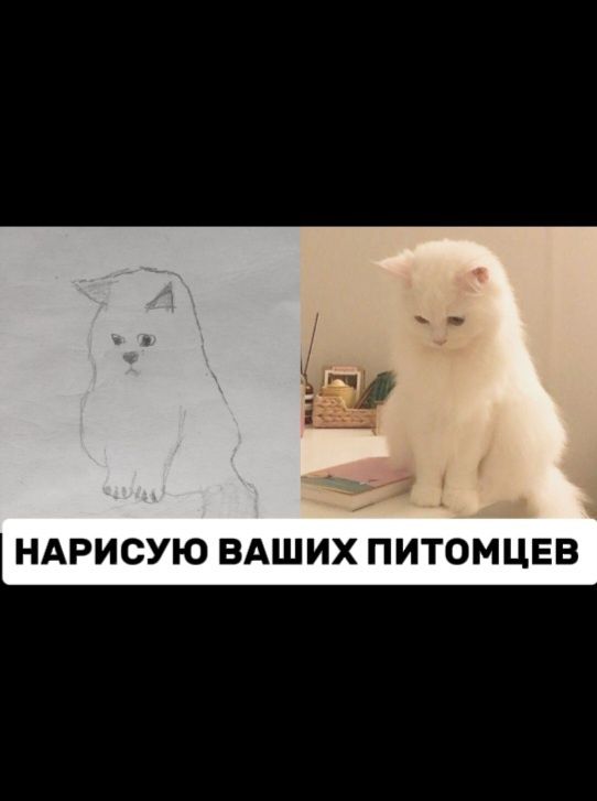 Нарисую ваших питомцев