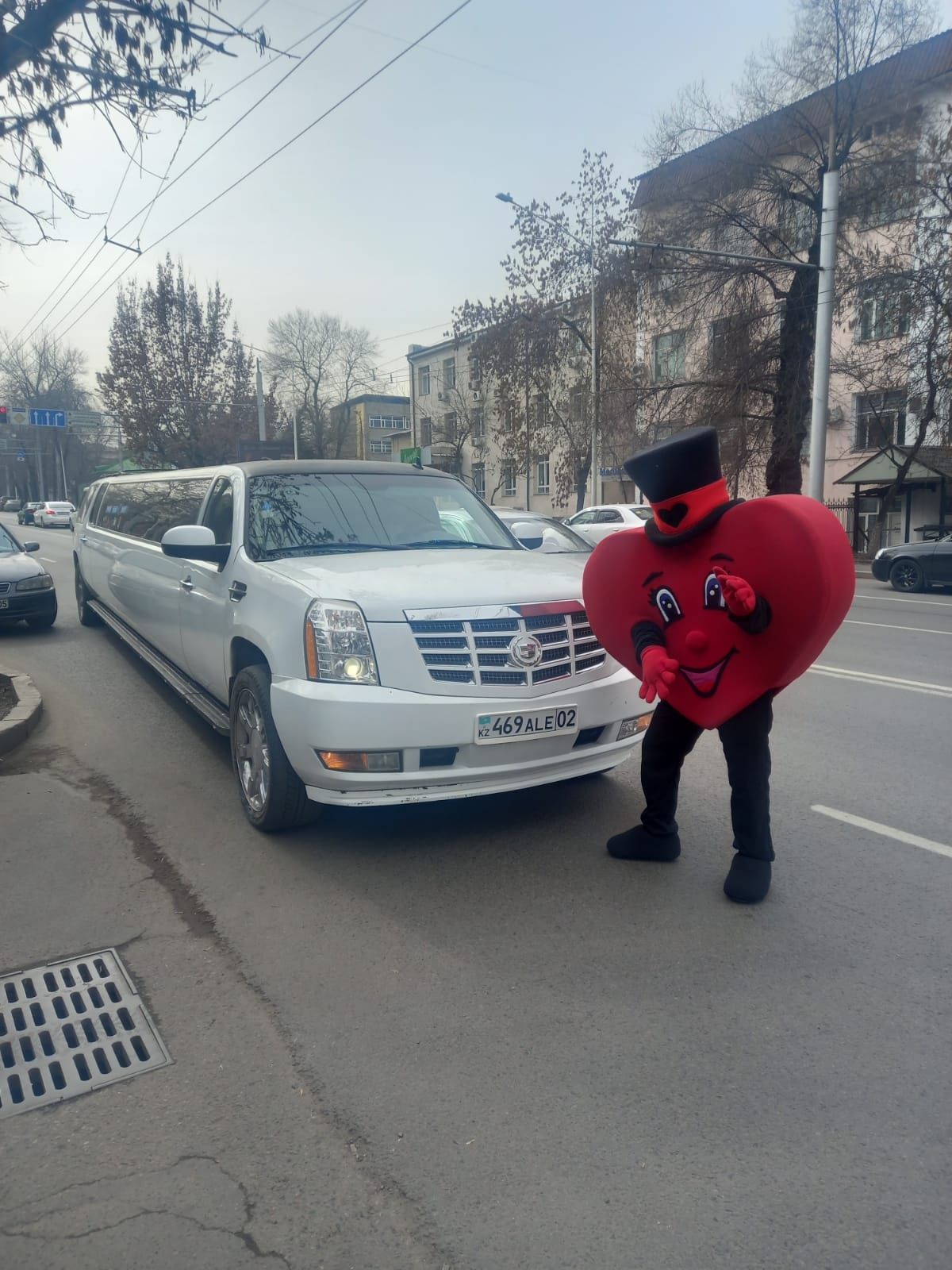 Лимузин для выписки из роддома, свадьбы, девичник