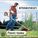 Пакос травыы бысто качествено и не дорого