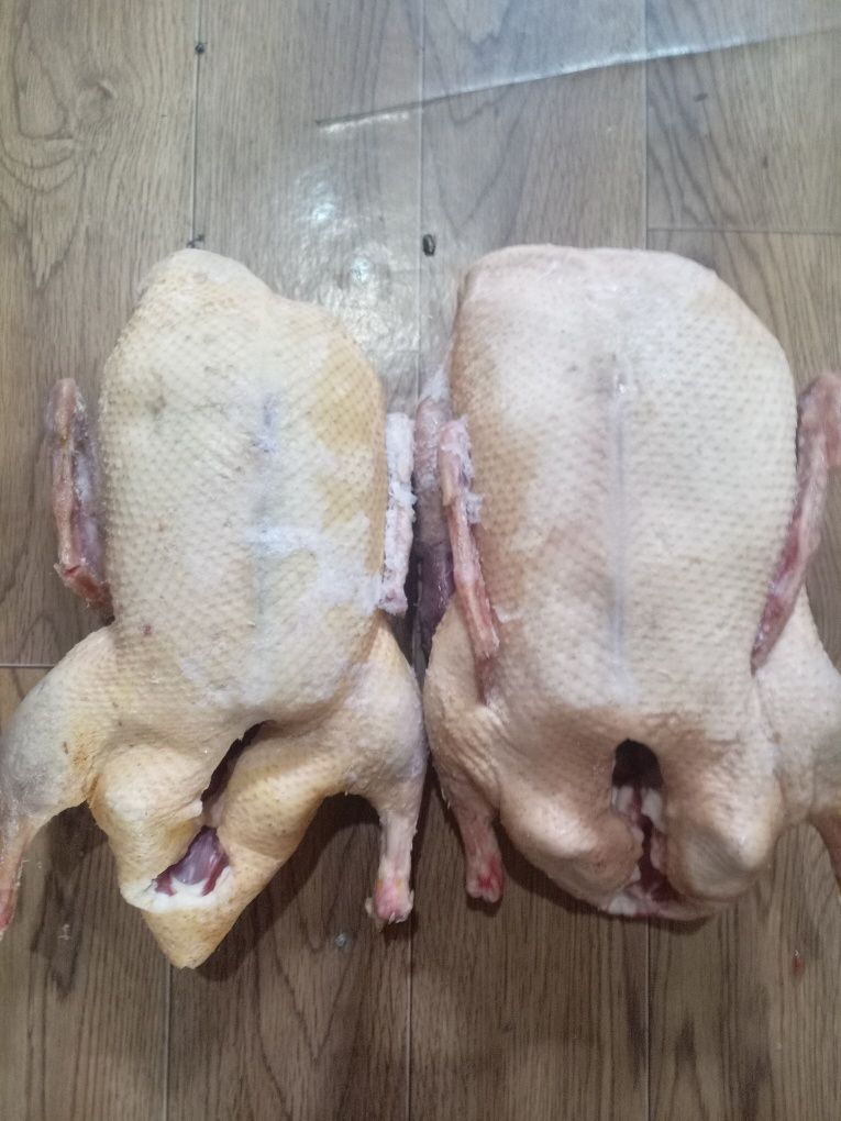 Продам утиное мясо