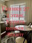 Сдам 1-комнатные квартиры  р-он цемпоселка  .Посуточно