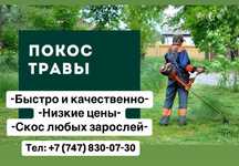 Покос травы. Шоп шабу