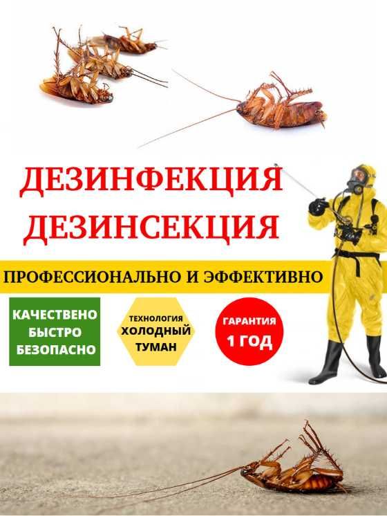 Дезинфекция Уничтожение клопов тараканов муравьев вшей крыс мышей блох