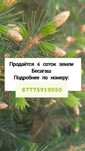 Продам участок в Бесагаше