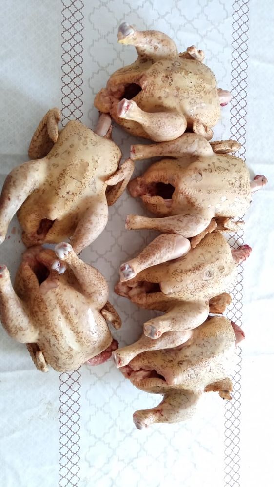 Продаю мясо домашней курицы ( бройлера)