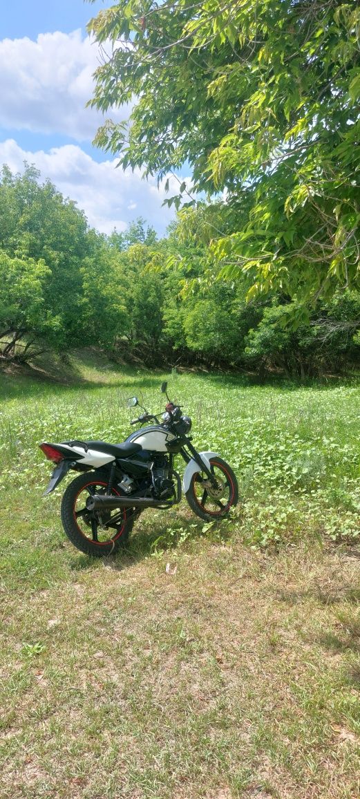 Продам Racer RC 150-23 Tiger