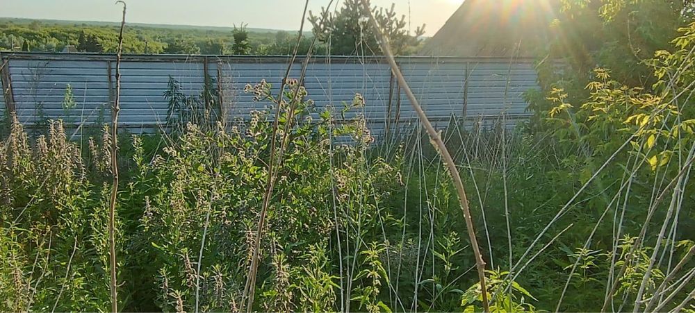 Продам дачу в садоводческом товариществе «Огонёк»
