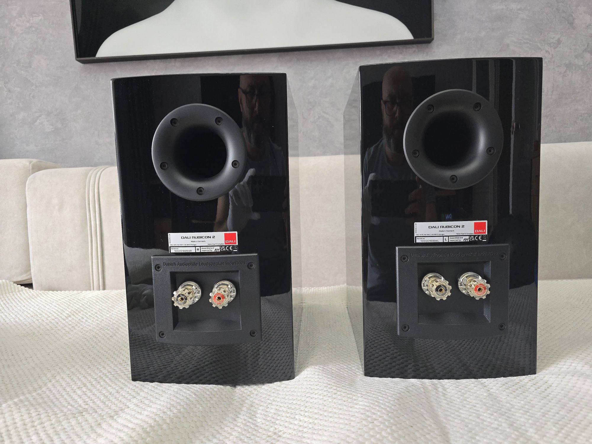 Hi Fi полочнаяI акустика Dali Rubicon 2