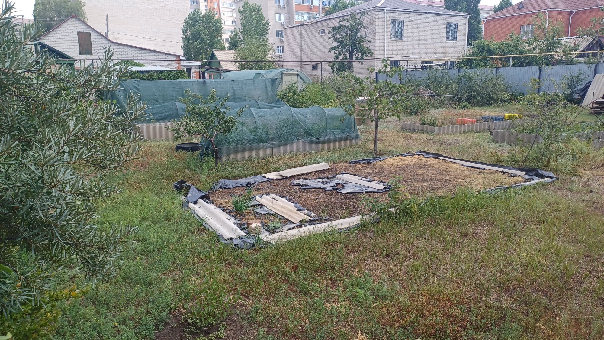 13соток Тынышпаева