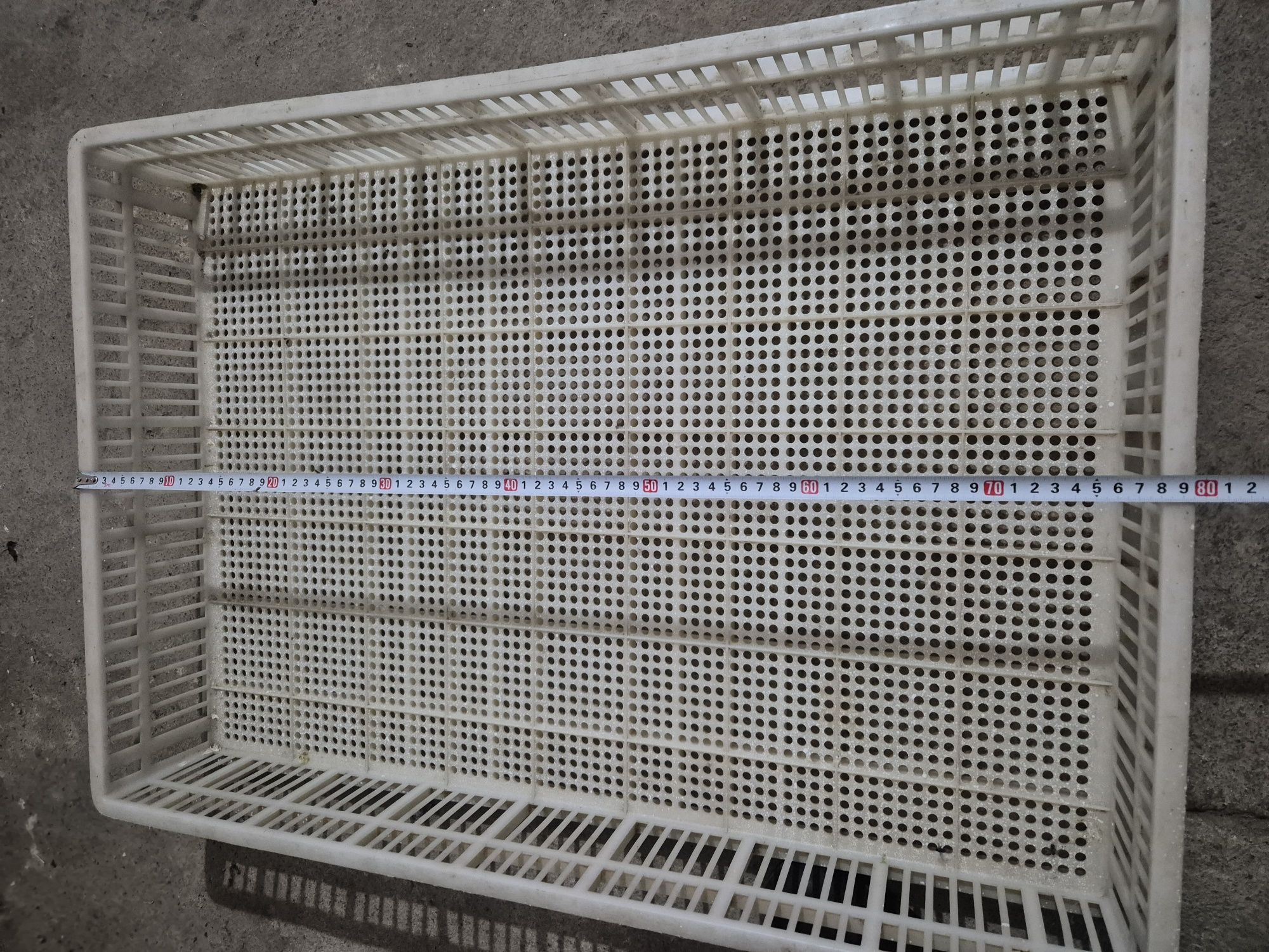 Продам лотки инкубационные