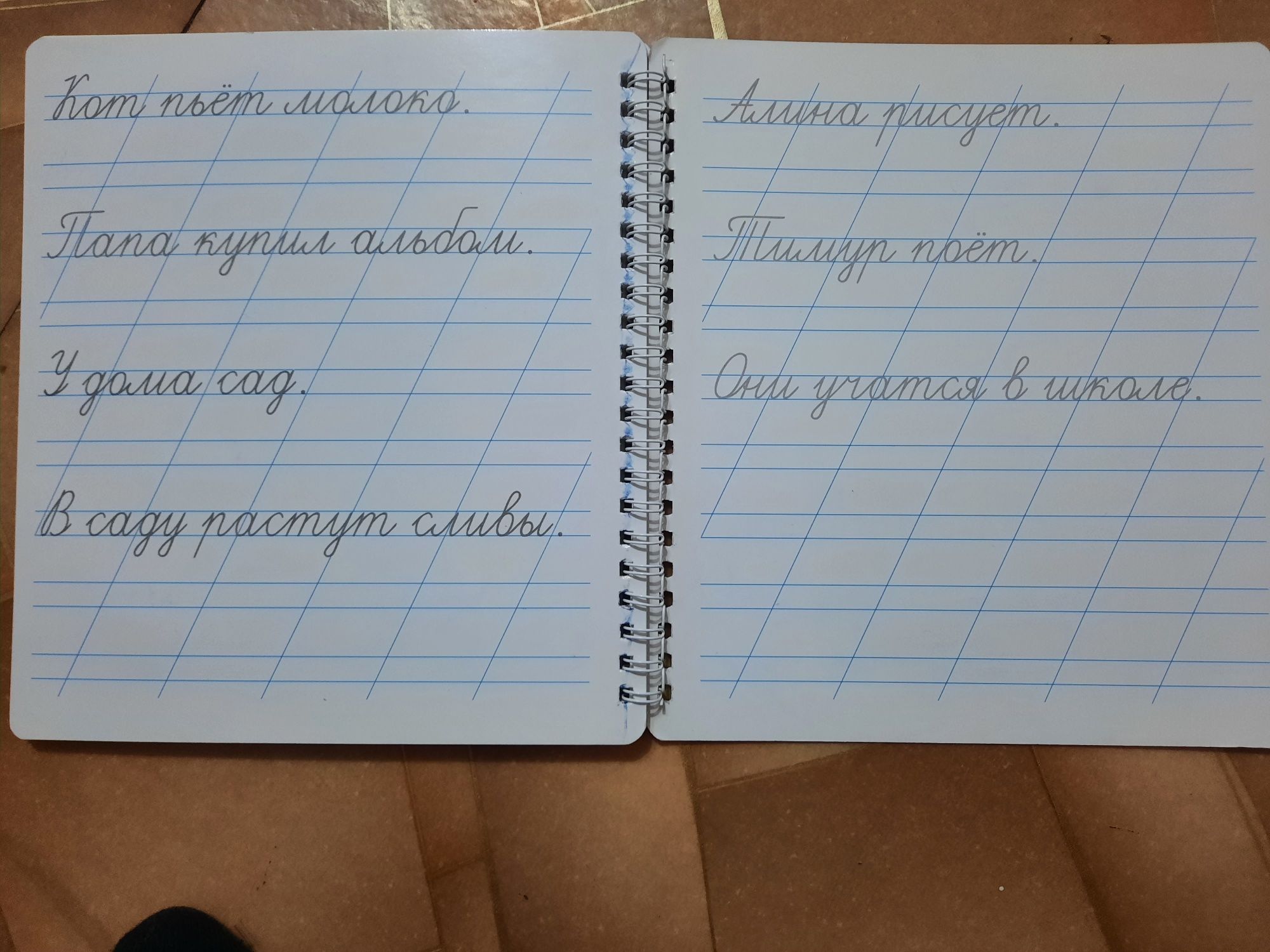 Пропись многоразовая, касса букв и цифр