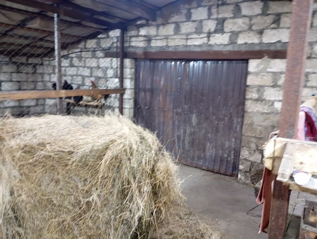 Продам дом с большим сараем срочно